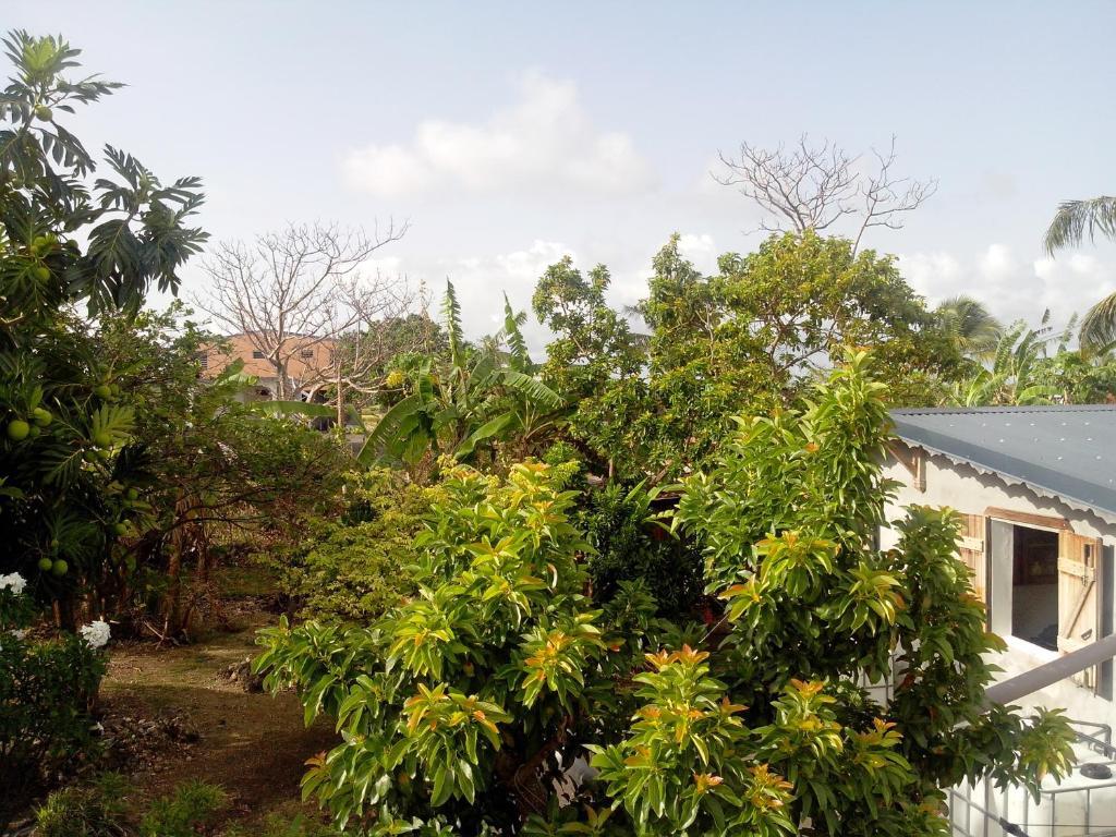 Maison Des Alizes Gros Cap ห้อง รูปภาพ